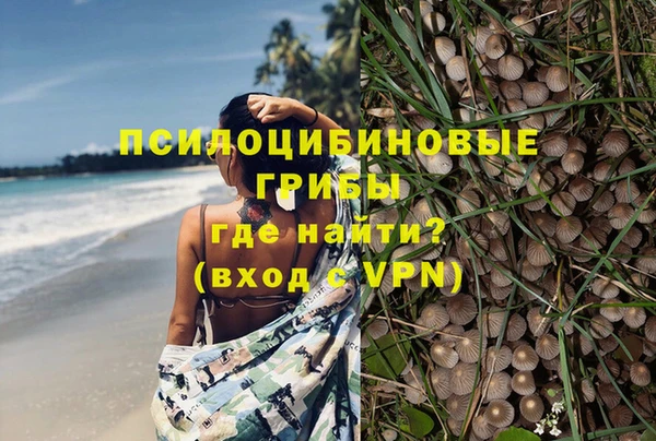mix Абаза