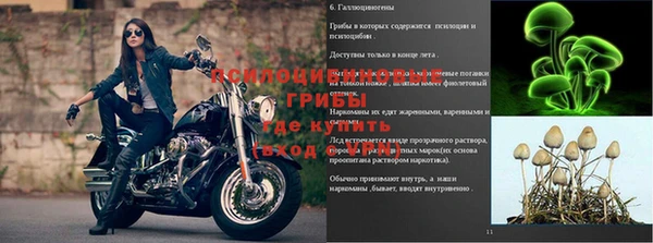 mix Абаза