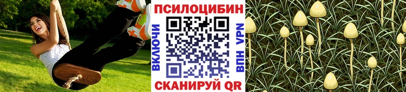 Галлюциногенные грибы Magic Shrooms  мориарти Telegram  Заринск  цены наркотик 